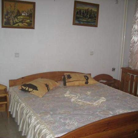 Hotel Mishel Kocherinovo Extérieur photo