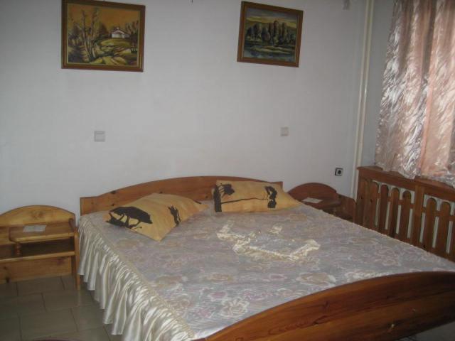 Hotel Mishel Kocherinovo Extérieur photo